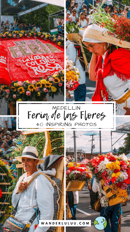 Feria de las Flores: Inside Medellín's Stunning Flower Festival